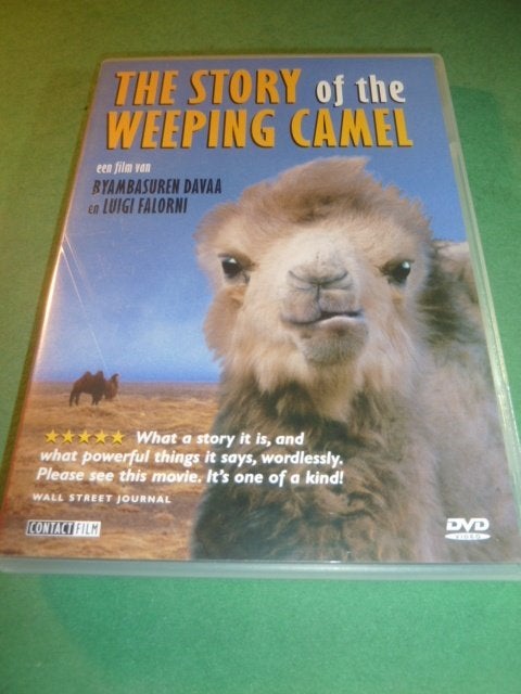 The story of the weeping camel Byambasuren Davaa dvd, Drama, Verzenden, Alle leeftijden, Nederlands