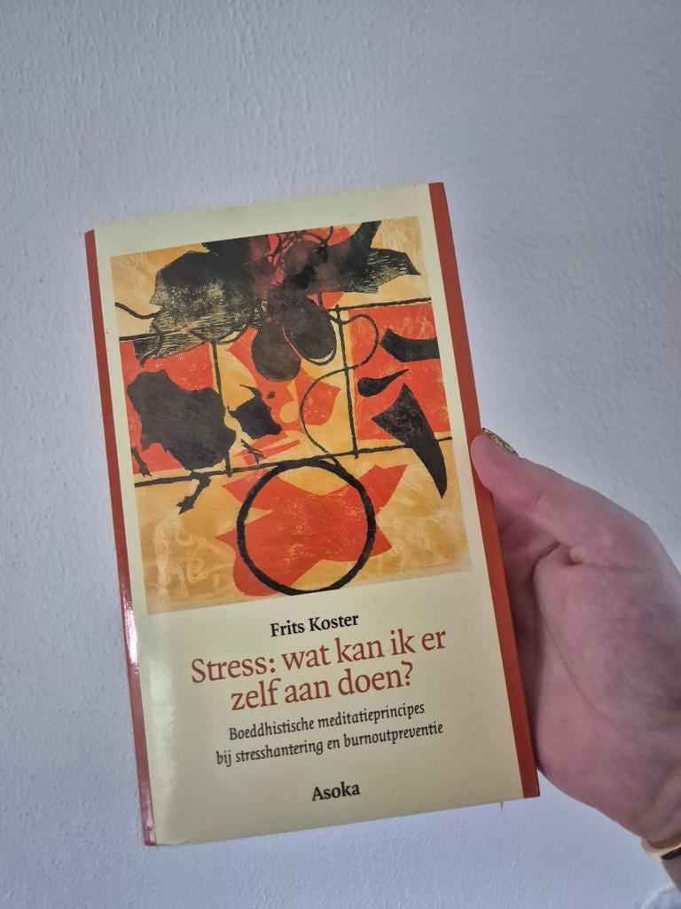 Frits koster stress wat kan ik er zelf aan doen? Boek, Boeken, Ophalen of Verzenden, Zo goed als nieuw