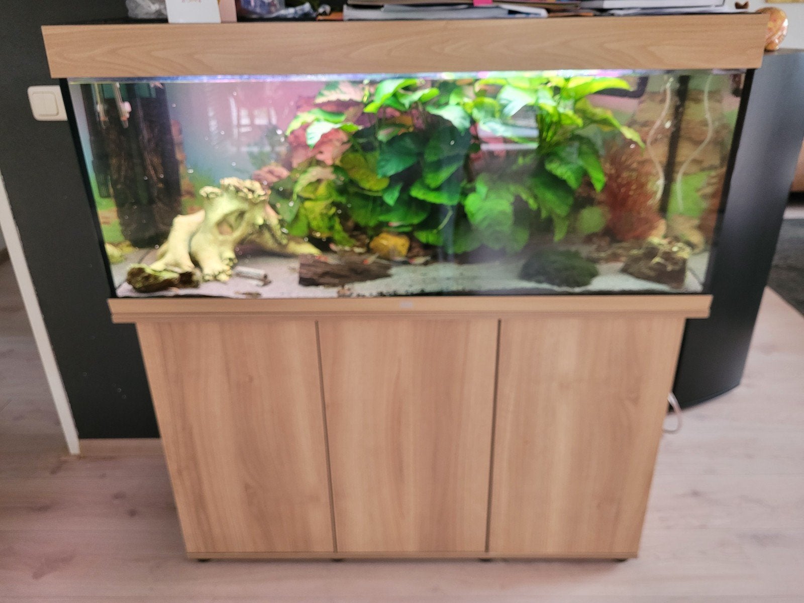 Te koop, prima onderhouden juwel aquarium met kast, Ophalen