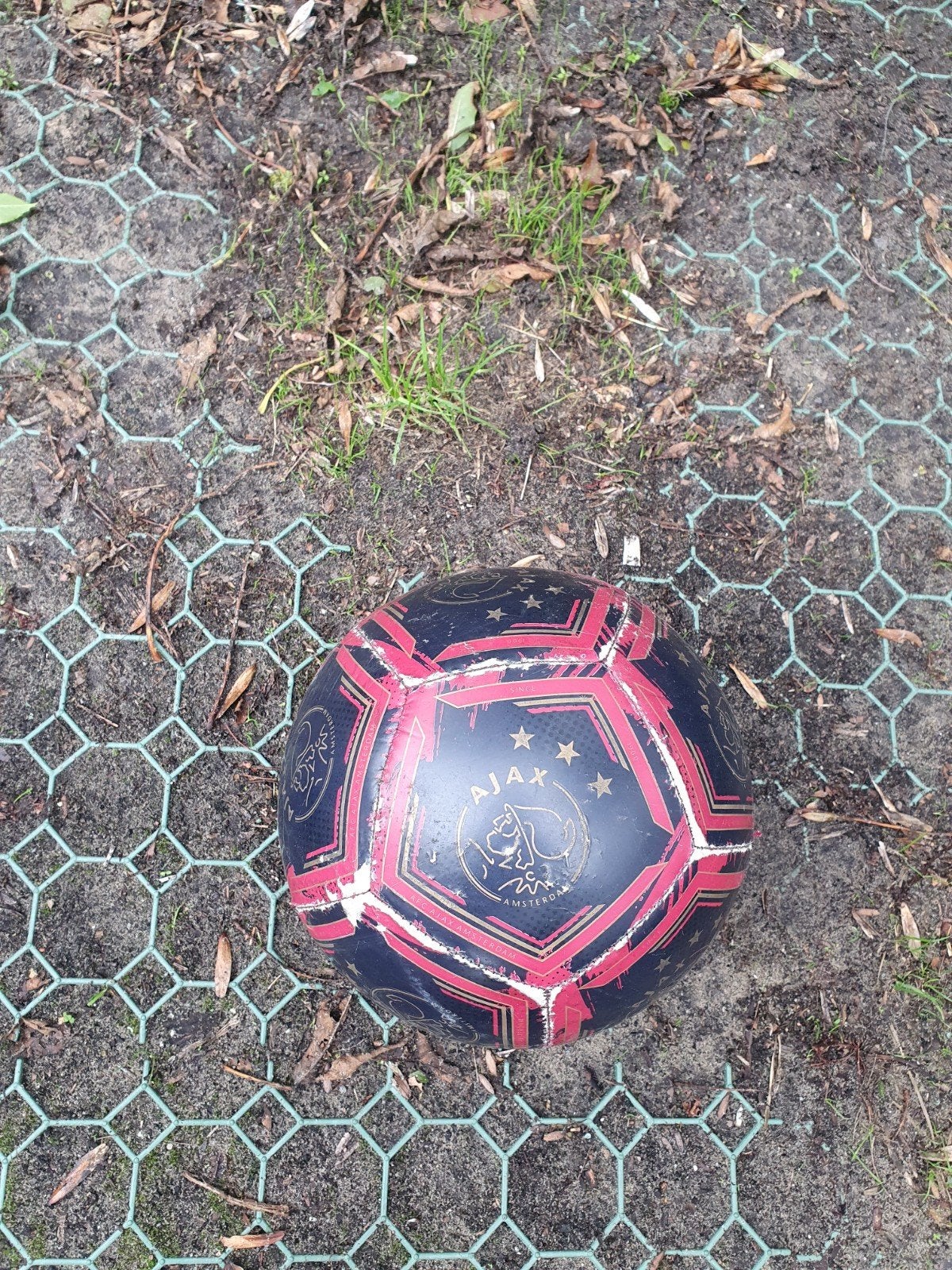 Voetbalspullen voor training, Maat L, Ophalen, Gebruikt, Set