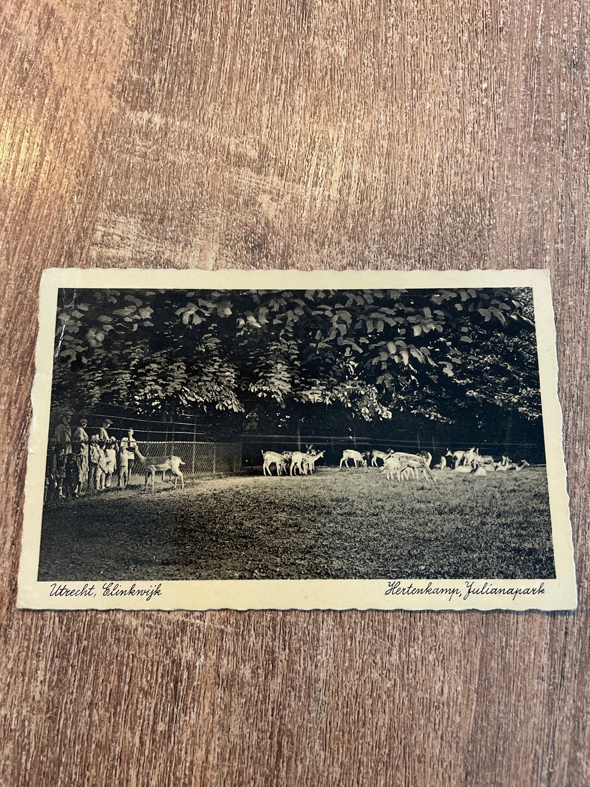 Oude ansichtkaart Utrecht Elinkwijk Hertenkamp Julianapark, Ophalen of Verzenden, 1920 tot 1940, Gelopen, Utrecht