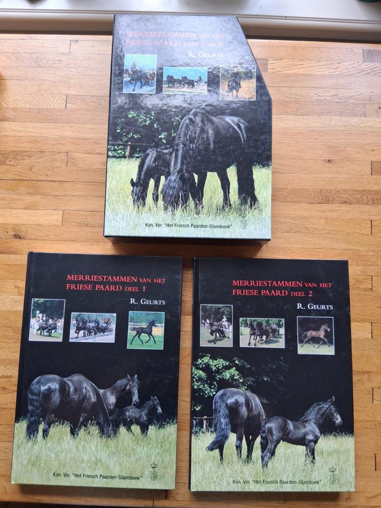 2 delige set in box merriestammen van het friese paard, Ophalen of Verzenden, Zo goed als nieuw, Paarden of Pony's