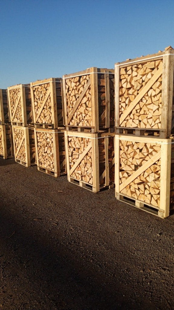 Brandhout -Berk-Eik-Beuk - Enkel Groothandel, 6 m³ of meer, Ophalen, Eikenhout, Blokken
