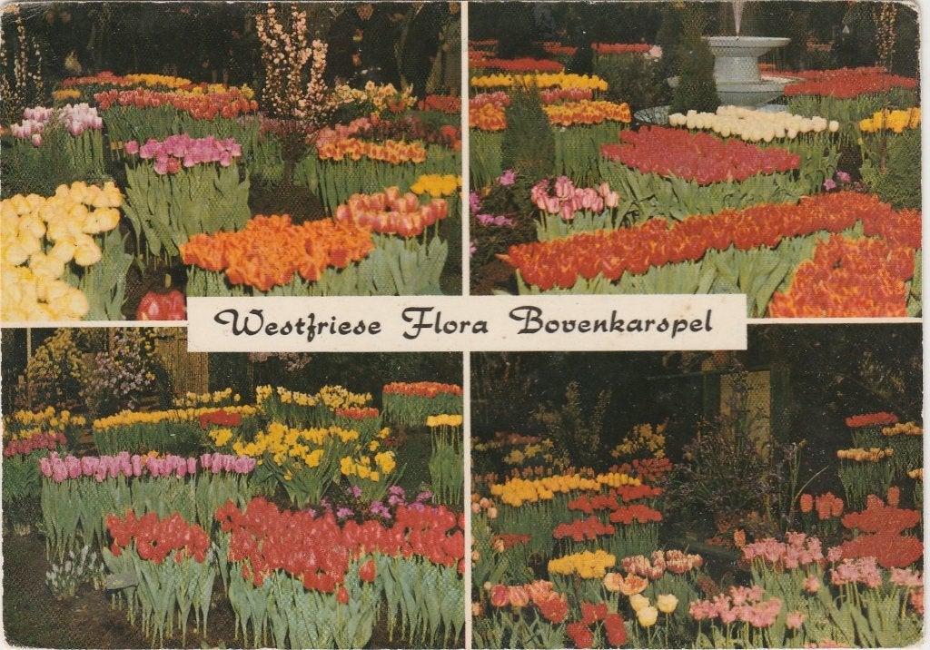BOVENKARSPEL Westfriese Flora, Verzenden, 1960 tot 1980, Ongelopen, Noord-Holland