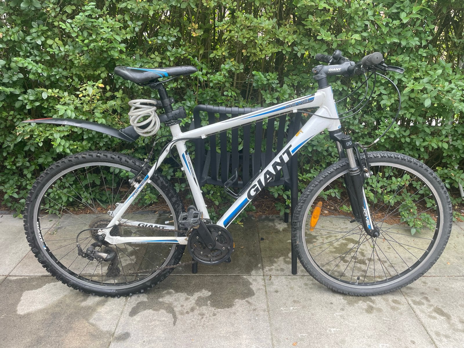 Giant Revel Mountainbike - Wit/Blauw, Ophalen, Gebruikt, Hardtail, 49 tot 53 cm