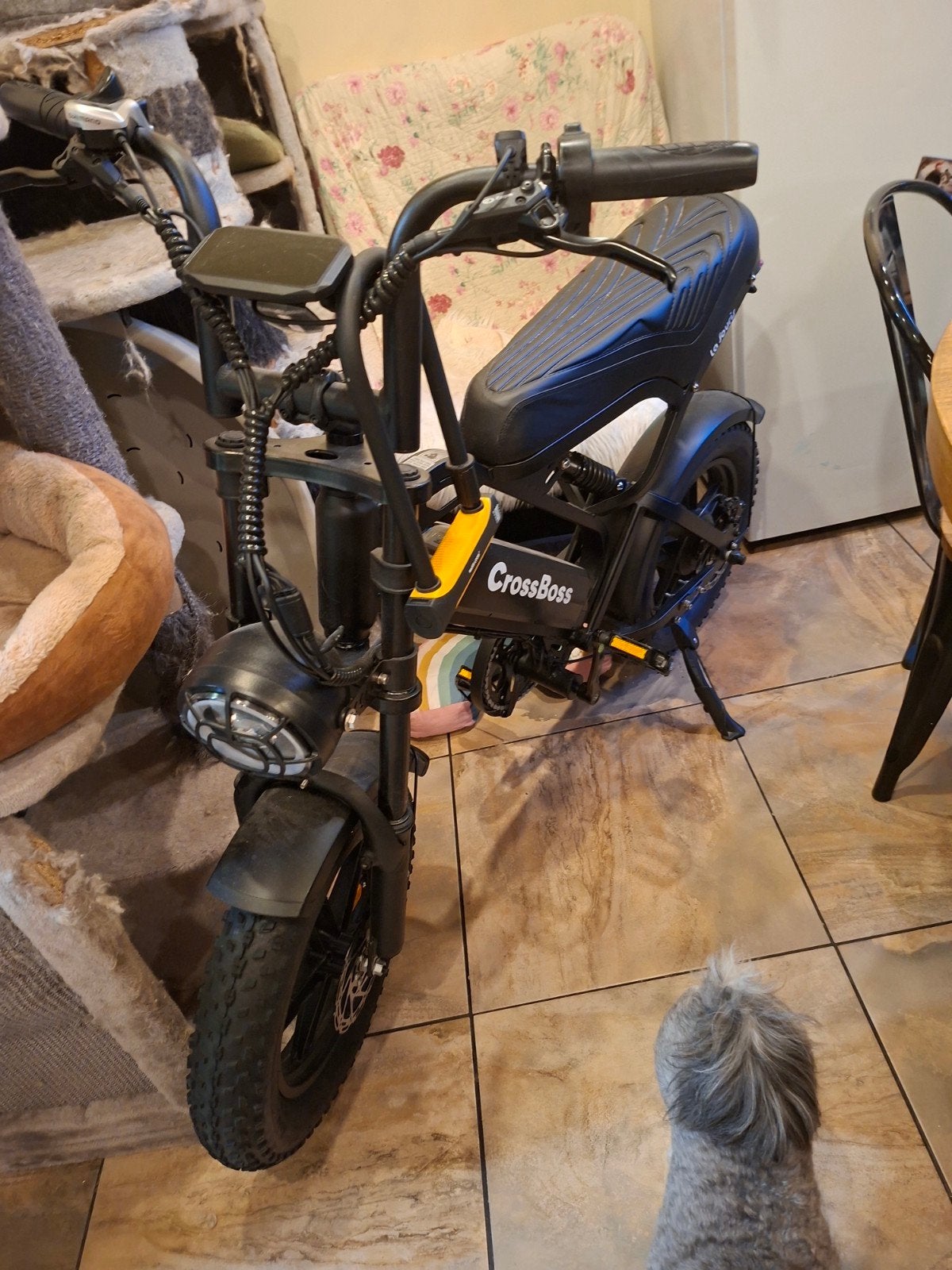 fat bike, Ophalen, Ouxi, Overige typen, Zo goed als nieuw
