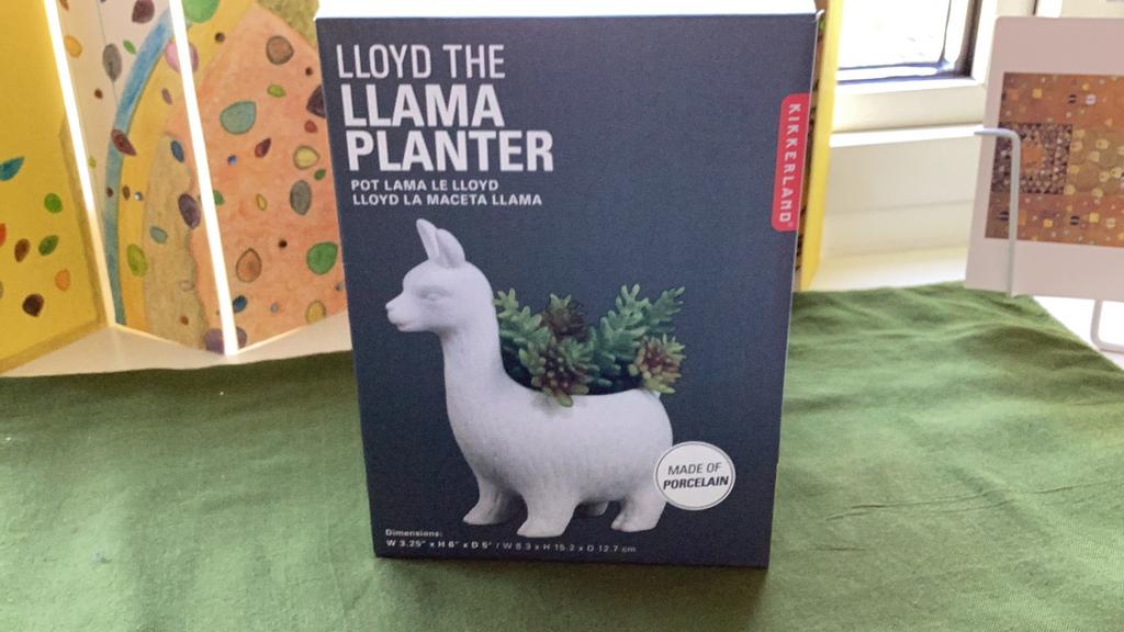 Lama Loyd. Porseleinen plantenpot. Kikkerland, Ophalen of Verzenden