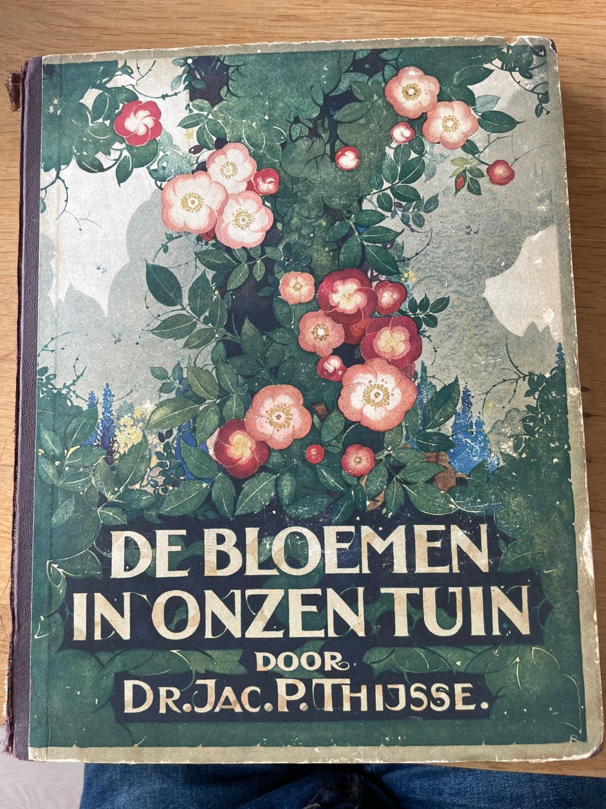 De bloemen in onzen tuin - Jac P Thijsse, Ophalen of Verzenden, Zo goed als nieuw, Bloemen, Planten en Bomen