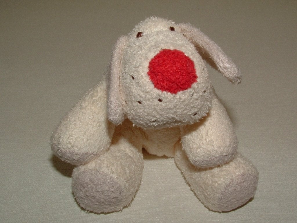 TIAMO HOND SPIKKEL KLEIN ZACHTE BADSTOF WIT MET RODE NEUS, Wasbaar, Hond, Zo goed als nieuw, Meerkleurig