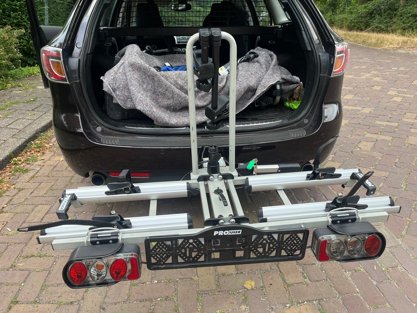Pro user diamant, Ophalen, Gebruikt, Elektrische fiets, 2 fietsen