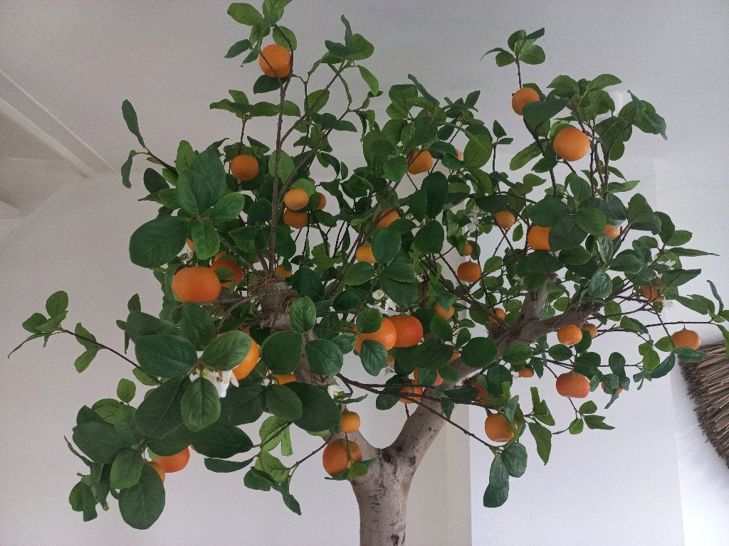 Kunstboom Citrus prachtig Realistisch handmade  vrpr 695.00, Binnen, Kunstplant, Silk-ka, Handgemaakt