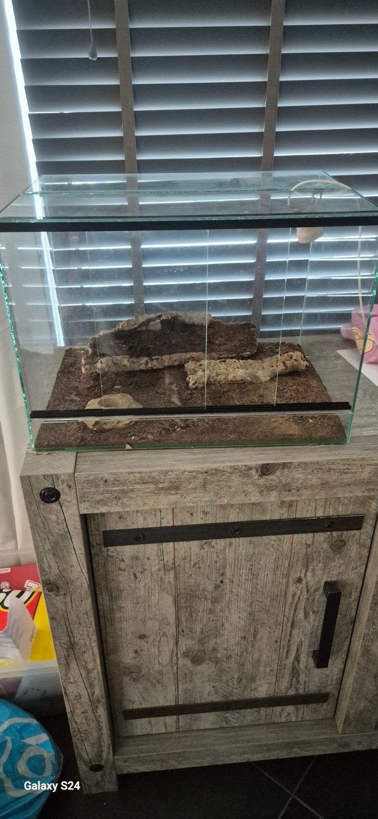 Terrarium, Ophalen, Gebruikt, Terrarium of Paludarium