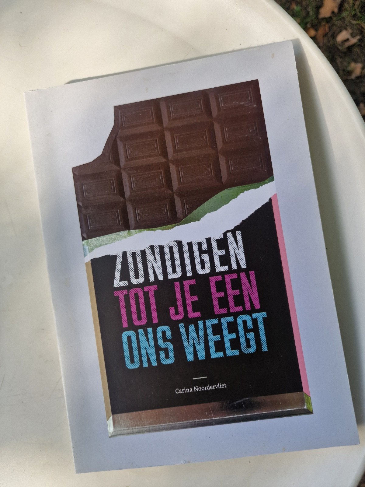 Zondigen tot je een ons weegt - Carina Noordervliet, Ophalen of Verzenden, Gelezen, Carina Noordervliet