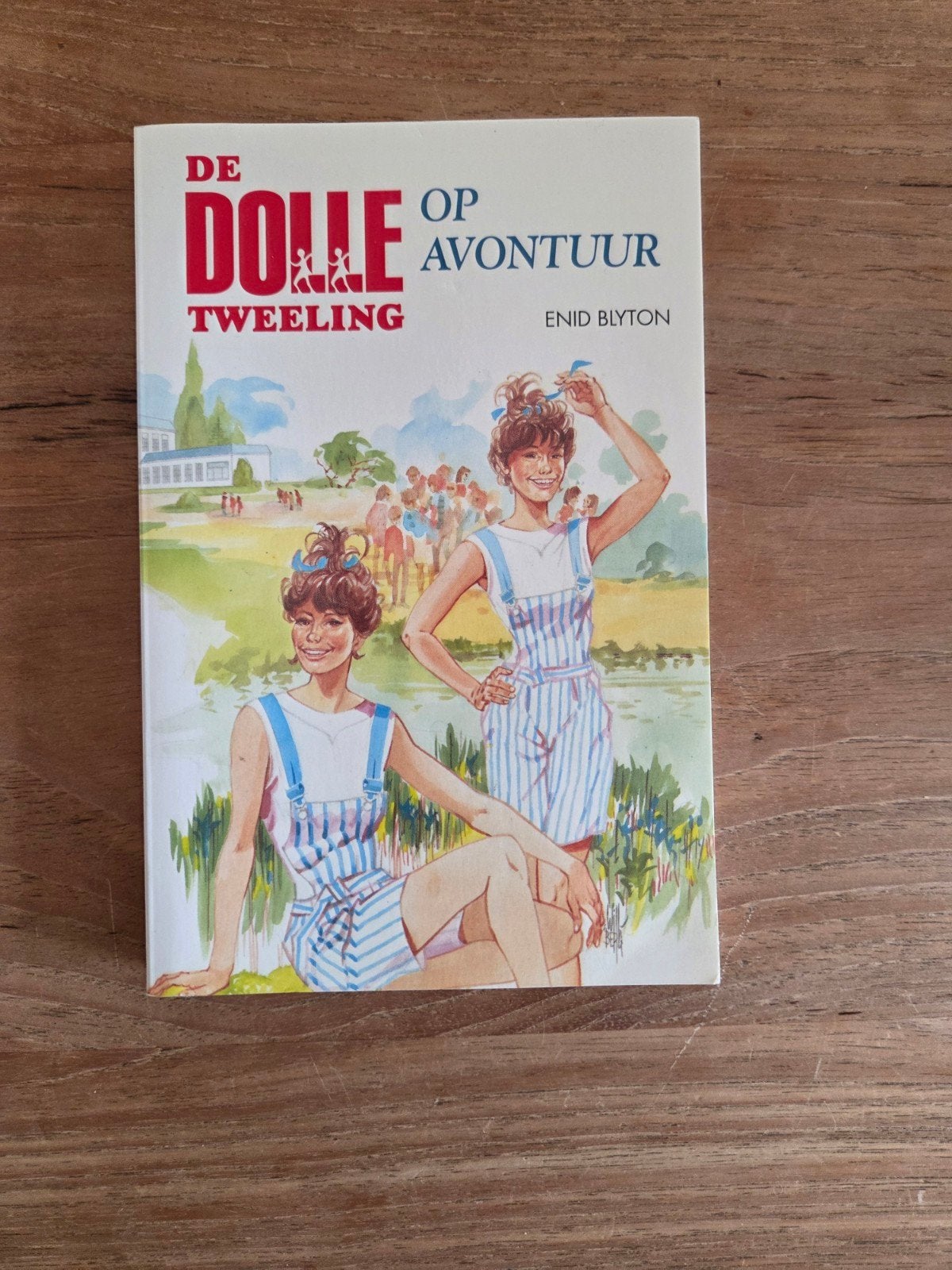 De Dolle Tweeling op Avontuur - Enid Blyton, Boeken, Ophalen of Verzenden, Nieuw, Enid Blyton, Fictie