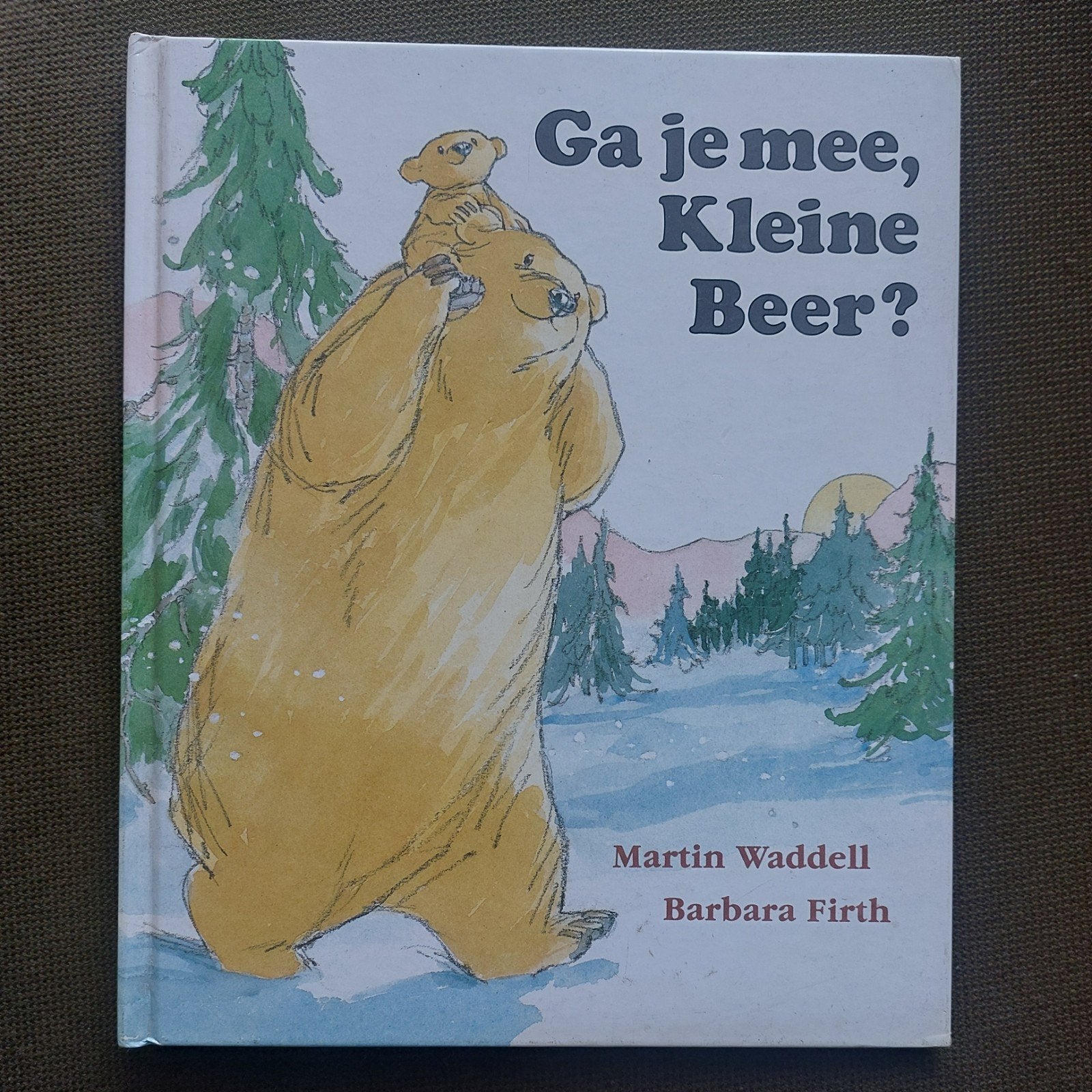 Martin Waddell - Ga je mee, Kleine Beer?, Boeken, Prentenboeken en Plaatjesalbums, Ophalen of Verzenden, Zo goed als nieuw, Martin Waddell; Barbara Firth