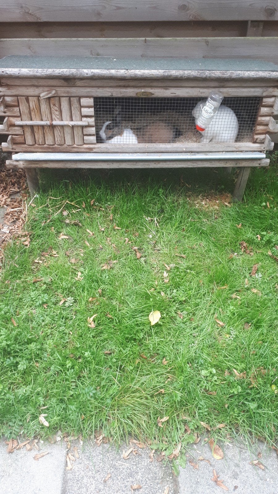 te koop mooi hok €30, Dieren en Toebehoren, 110 cm of meer, Zo goed als nieuw, Hok, Ophalen