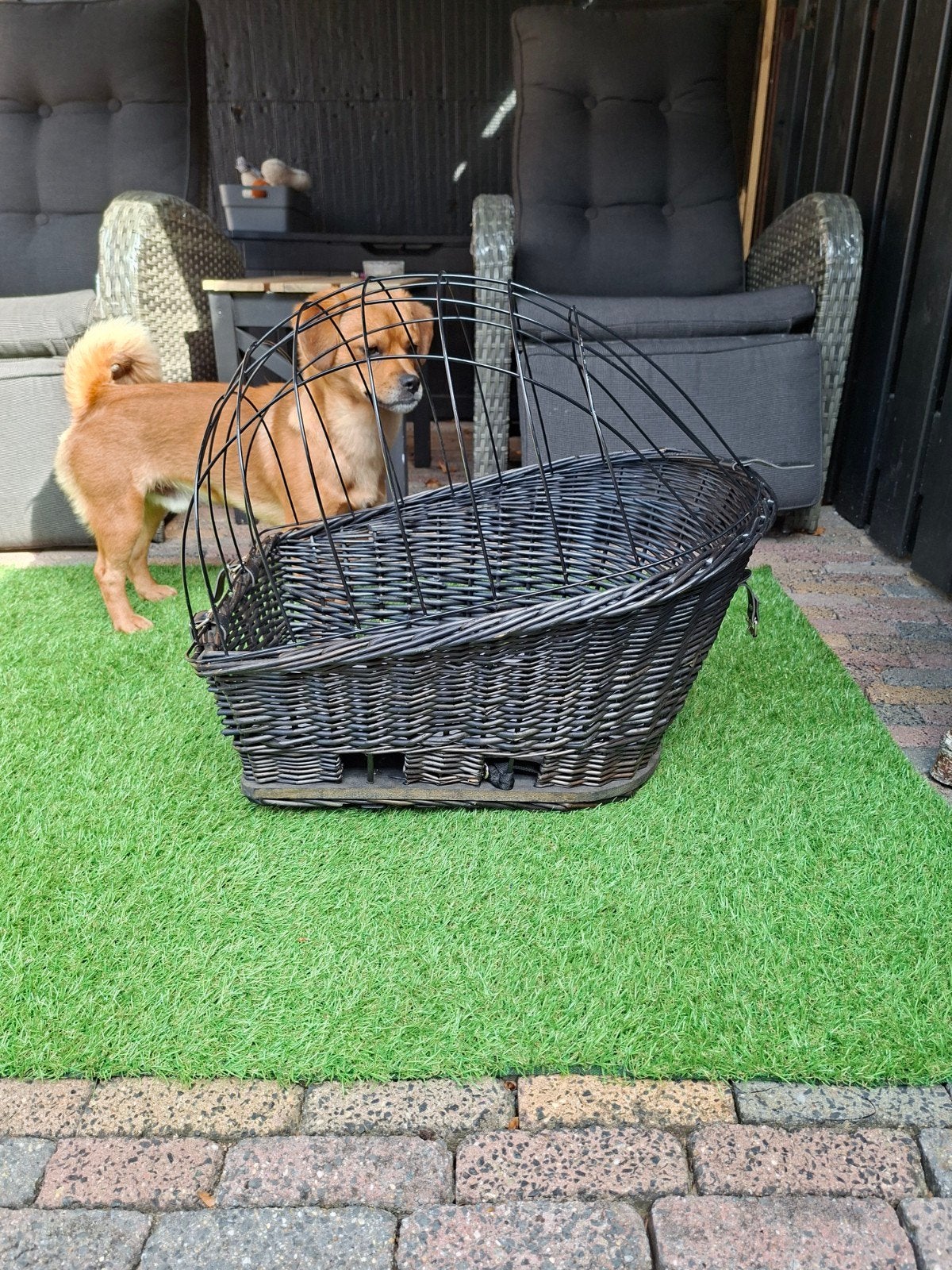 trixie fietsmand hond, Ophalen, Minder dan 65 cm