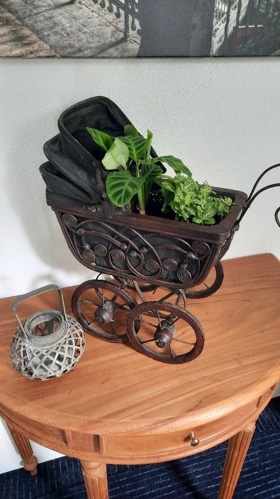 Antiek kinder/poppenwagentje met plantjes, Ophalen, Halfschaduw, Minder dan 100 cm