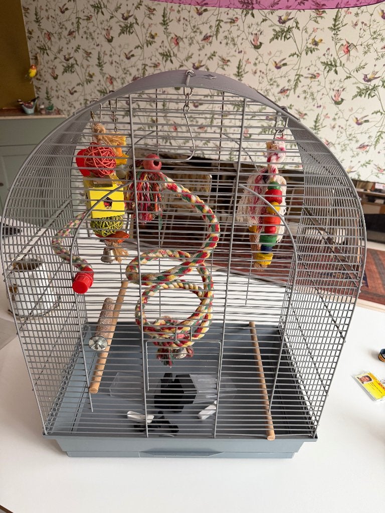 vogelkooi, Dieren en Toebehoren, Ophalen, Zo goed als nieuw, Metaal, Vogelkooi
