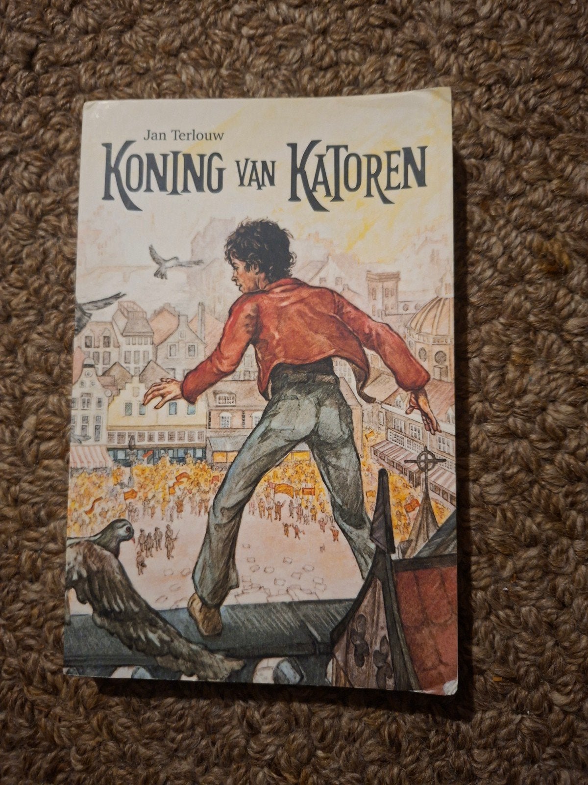 Koning van Katoren - Jan Terlouw (Jeugdboek), Gelezen, Fictie algemeen, Ophalen of Verzenden, Jan Terlouw