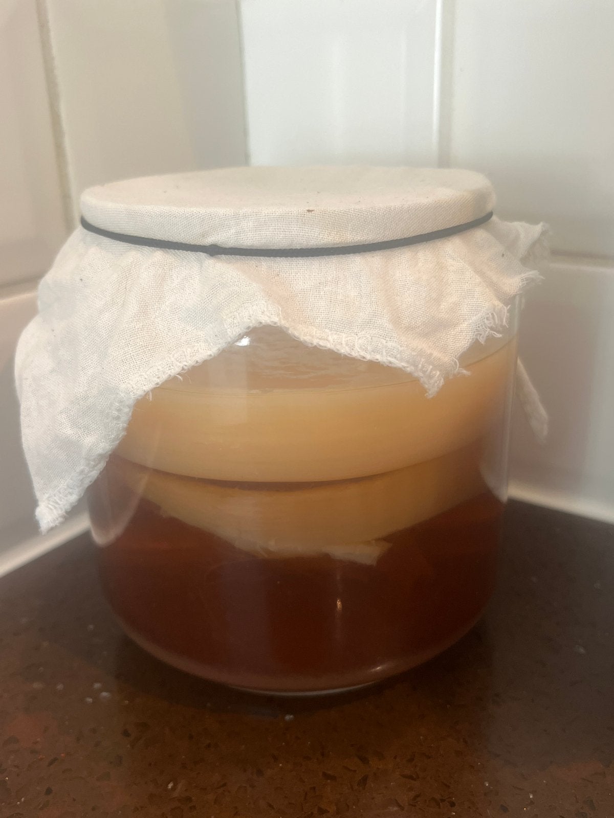 kombucha starter en scoby, Ophalen