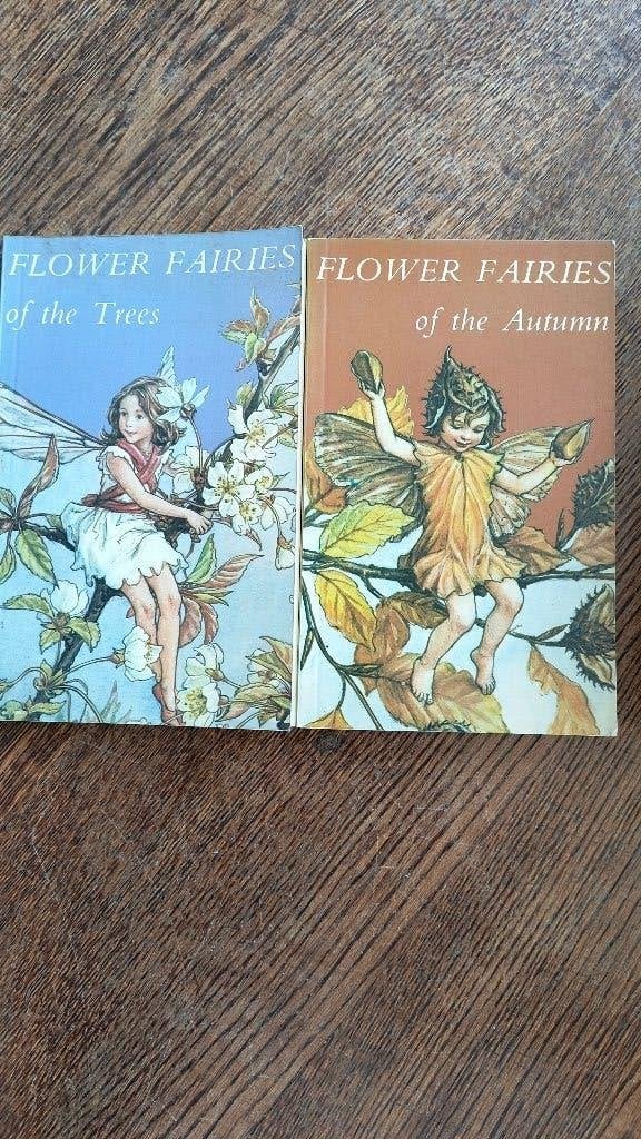 Flower Fairies of the Trees, of the Autumn, Ophalen of Verzenden