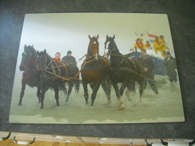 reddingsboot met paarden op ameland, Ophalen of Verzenden, Waddeneilanden