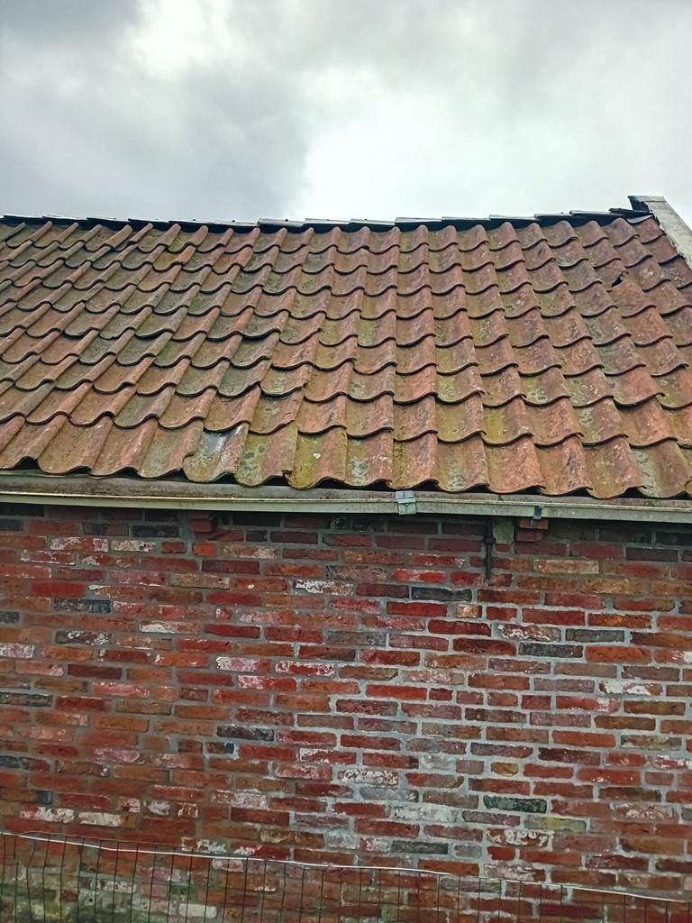 Hollandse pannen, Doe-het-zelf en Verbouw, Dakpannen en Dakbedekking, Ophalen, Steen of Klei, 15 m² of meer, Dakpannen