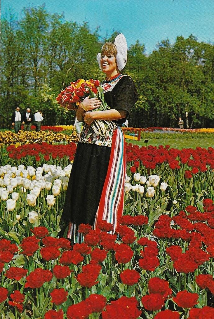 Holland bloementooi gelopen ansichtkaart ( a4246 ), Ophalen of Verzenden, 1980 tot heden, Gelopen, Noord-Holland
