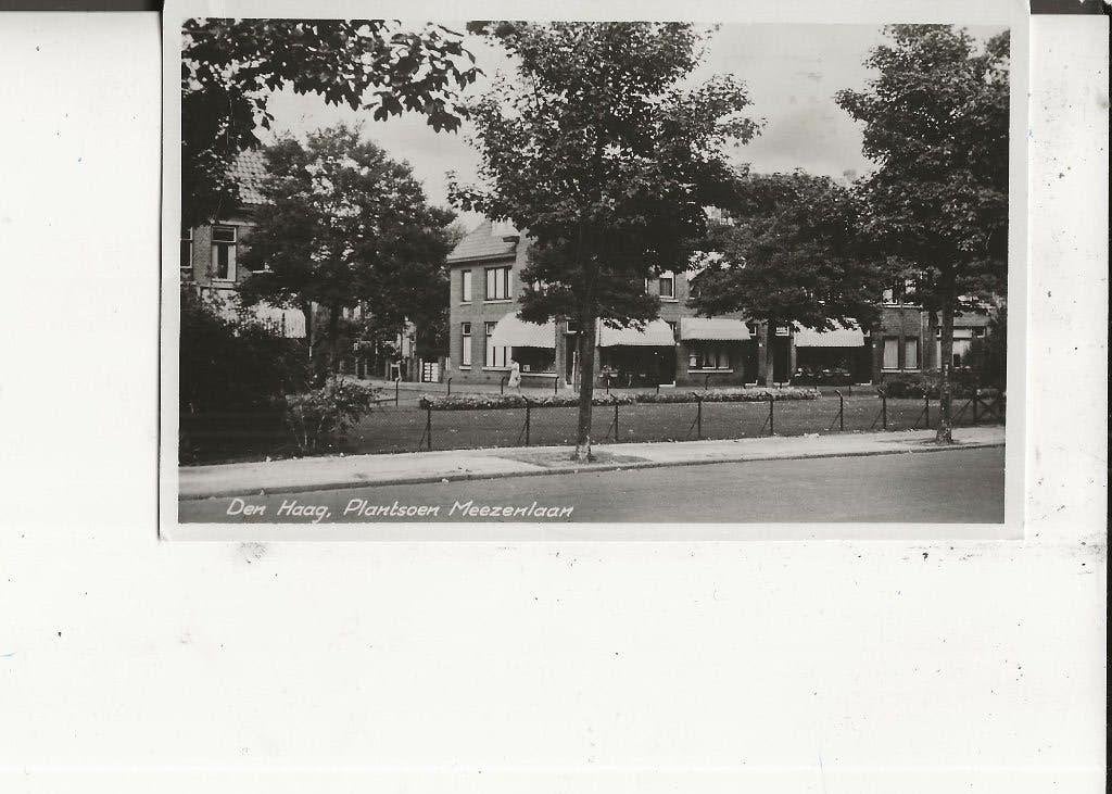 Den Haag Meezenlaan Plantsoen 14-7-1951, Ophalen of Verzenden, 1940 tot 1960, Gelopen, Zuid-Holland