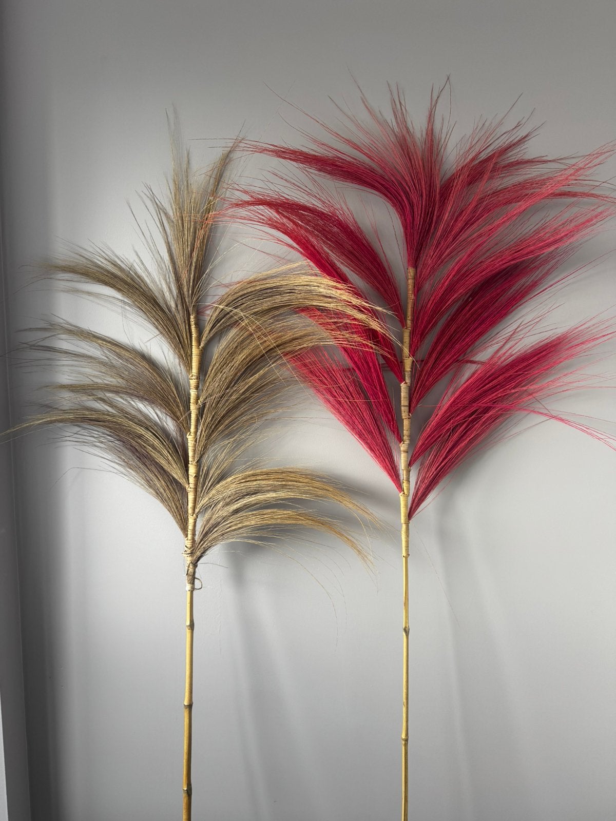 Pluimen op bamboe ca. 150cm, Binnen, Natuurlijk materiaal, 150 cm, Ophalen of Verzenden