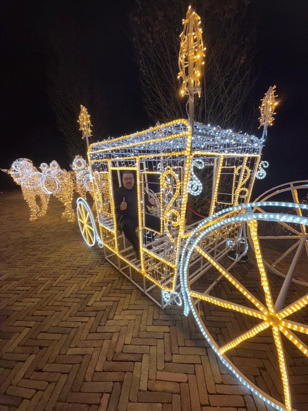 Koets met 6 paarden levens groot, Ophalen of Verzenden