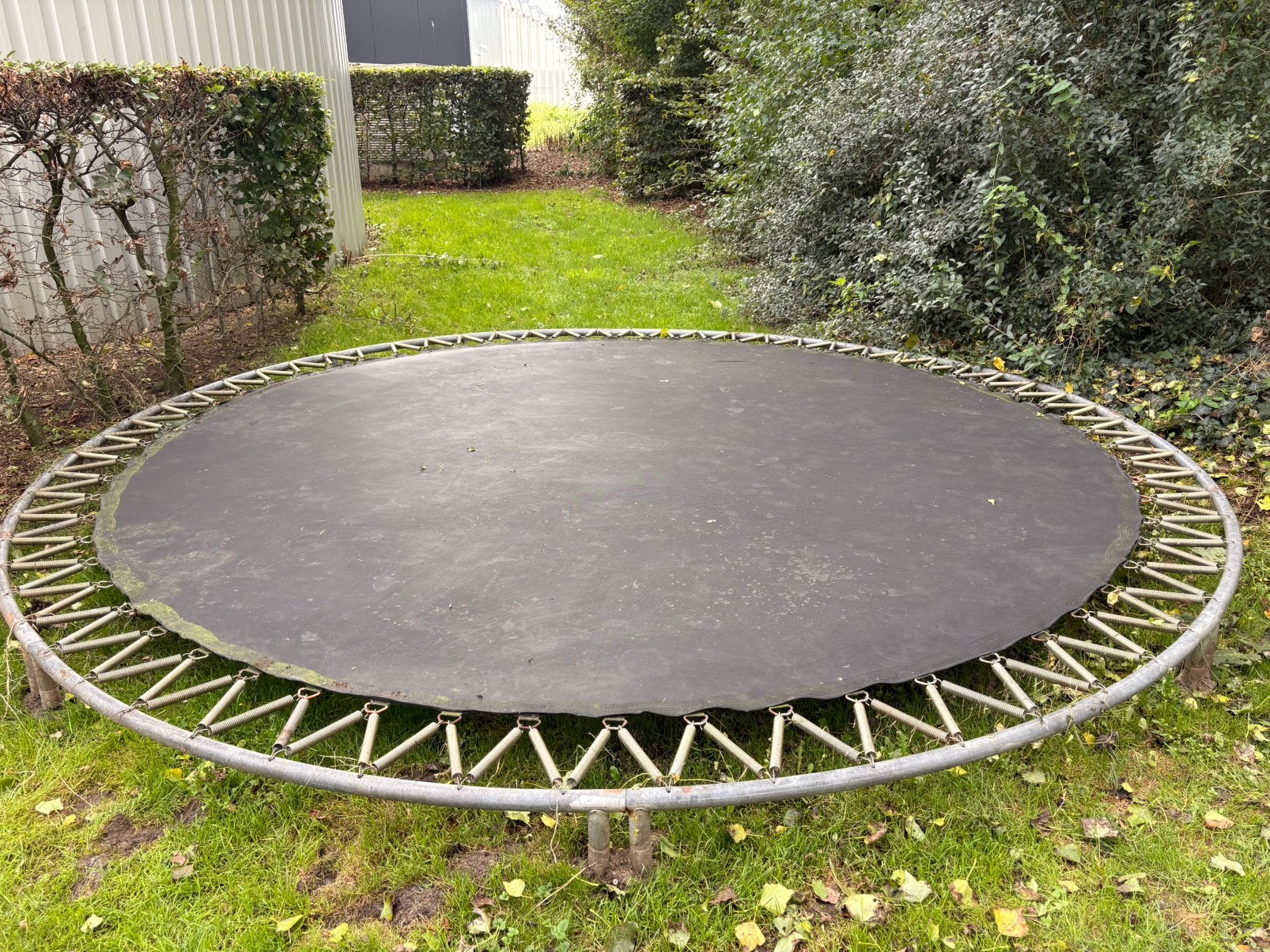 Grote trampoline van het merk BERG, Ophalen, Gebruikt