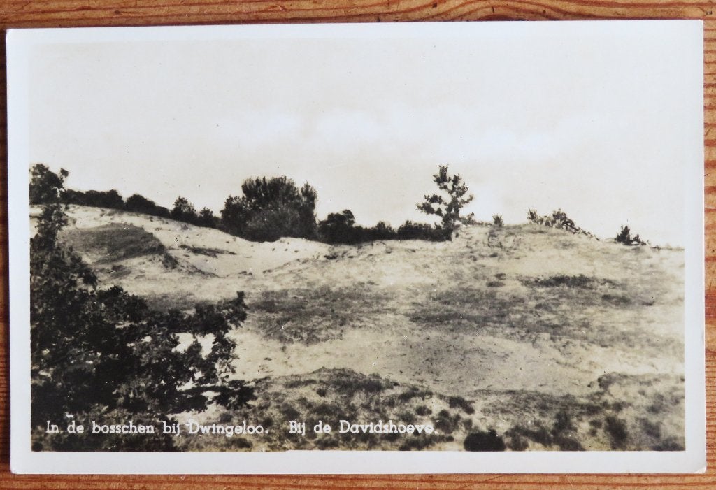 Dwingeloo: Bosschen ( Bossen ) bij de Davidshoeve, Ophalen of Verzenden, Voor 1920, Noord-Brabant