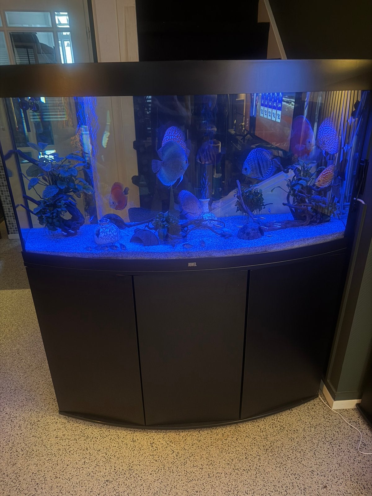 Juwel vision 260 aquarium, Dieren en Toebehoren, Vissen | Aquaria en Toebehoren, Ophalen, Zo goed als nieuw, Leeg aquarium