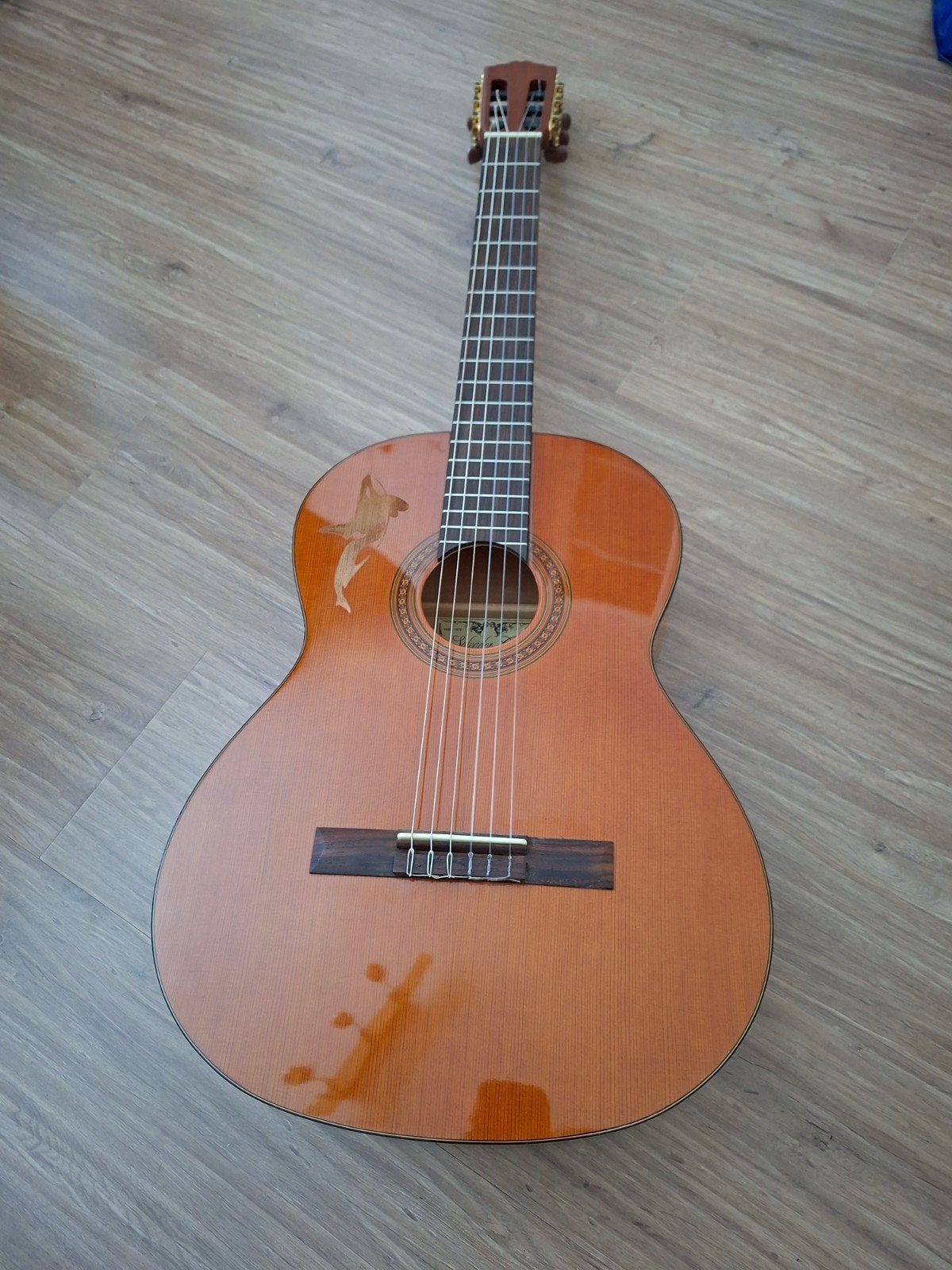 Akoestische gitaar en assecoires, Ophalen, Zo goed als nieuw, Klassieke of Spaanse gitaar