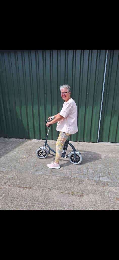Van Raam Loopfiets, Fietsen en Brommers, Fietsen | Vouwfietsen, Ophalen, Zo goed als nieuw, Minder dan 14 inch, Overige merken