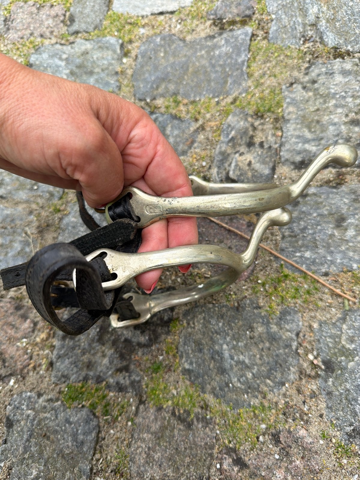 Sprenger zwamenhals sporen, Dieren en Toebehoren, Ophalen, Dressuur