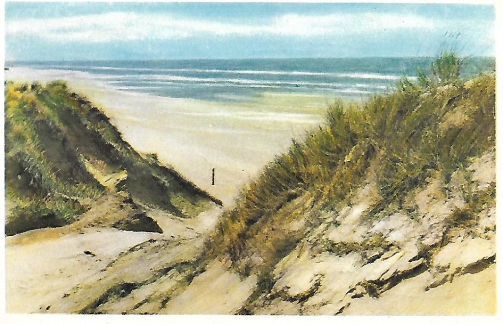 Texel- -Zee en Duinen., Verzenden, 1940 tot 1960, Gelopen, Waddeneilanden