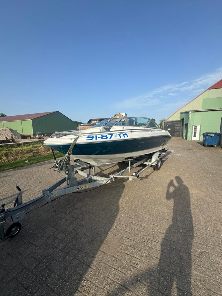 Sea ray 190 te koop, Watersport en Boten, Speedboten, Gebruikt, Sea Ray, Benzine, 120 tot 200 pk, Binnenboordmotor, Ophalen of Verzenden