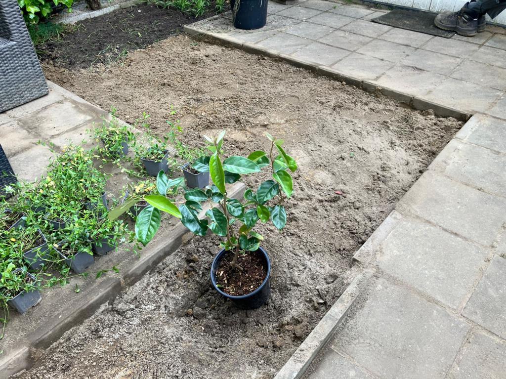 Gratis straatzand / ophoogzand in Wageningen, Tuin en Terras, Zand, Straatzand, Ophalen