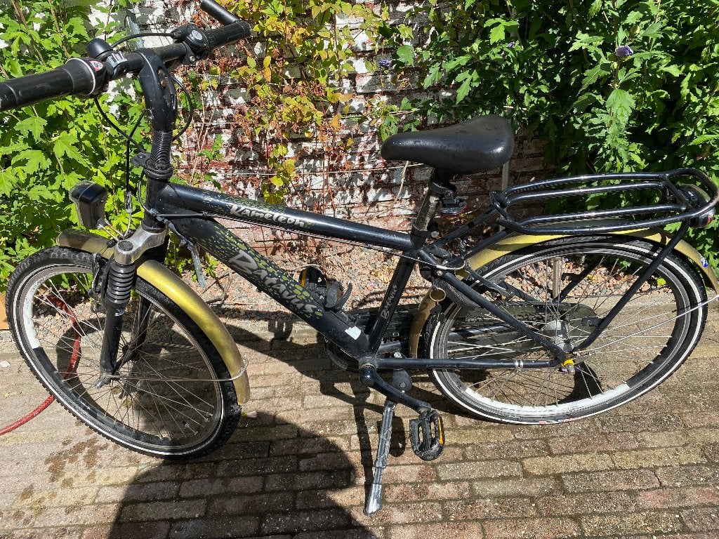 24 inch Batavus kameleon kinderfiets, Ophalen, Terugtraprem, Versnellingen, Batavus