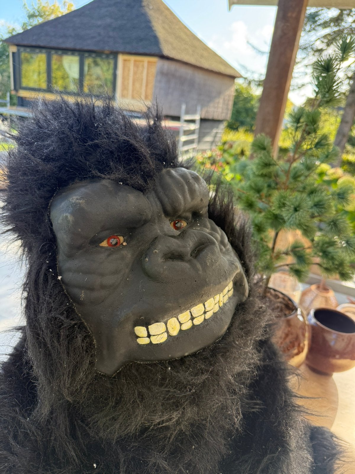 gorilla pak / pop, Ophalen, Carnaval, Overige maten, Accessoires