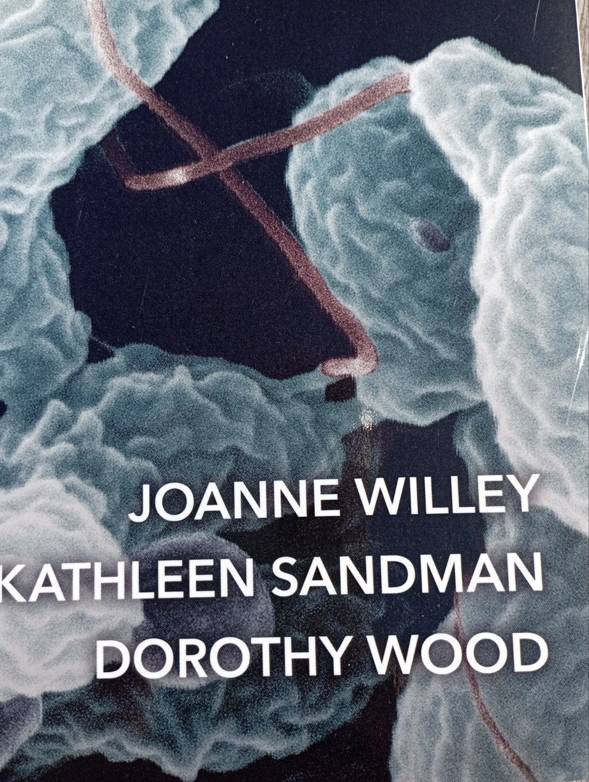 Prescott's Microbiology - Elfde Editie, Joanne Willey, Kathleen Sandman, Dorothy Wood, Zo goed als nieuw, Beta, HBO