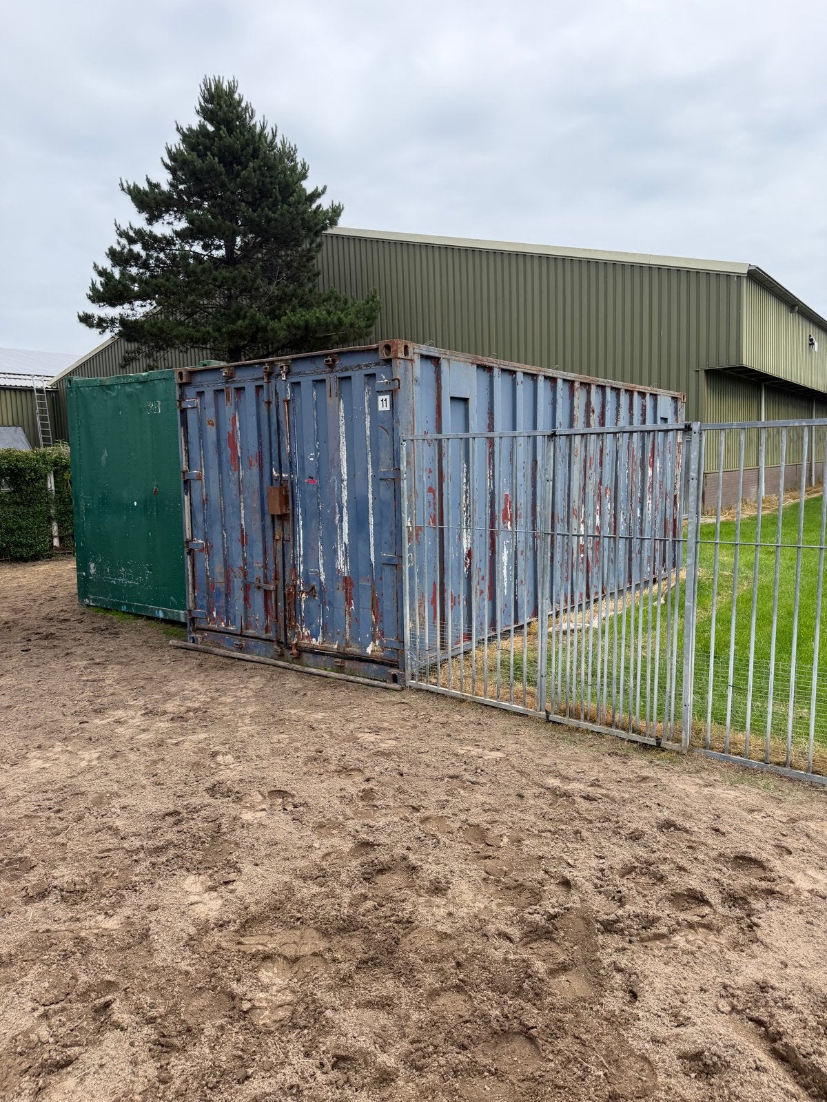 20ft zeecontainer moet weg, 4 paarden of pony's of meer