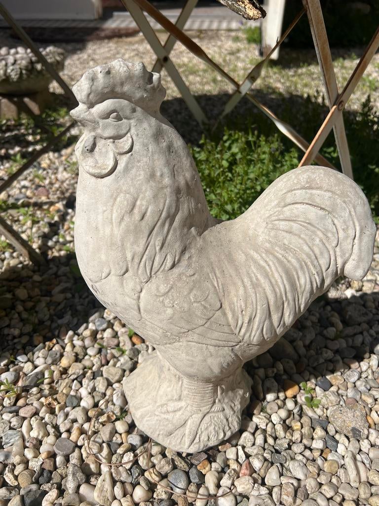 Betonnen haan - Tuinbeeld, Tuin en Terras, Tuinbeelden, Ophalen of Verzenden, Gebruikt, Beton, Dierenbeeld