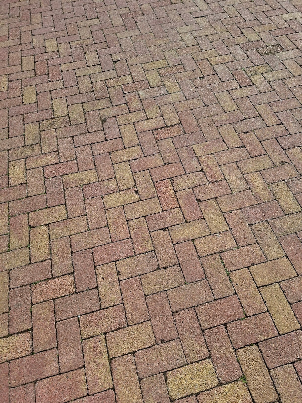Gratis 52.50 m2 bkk 6cm bont en 18 7x40x100 banden, Ophalen, Beton, Klinkers