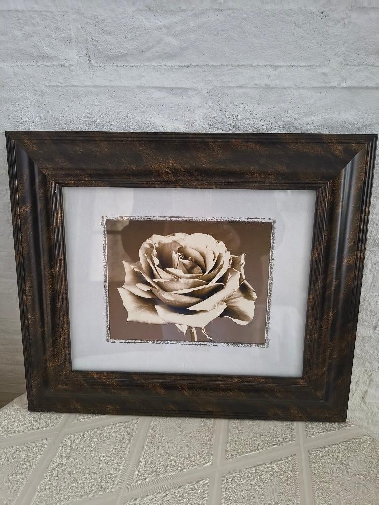 Schilderij met Roos B.34xH.29 cm, Ophalen, Minder dan 50 cm, Zo goed als nieuw, Schilderij