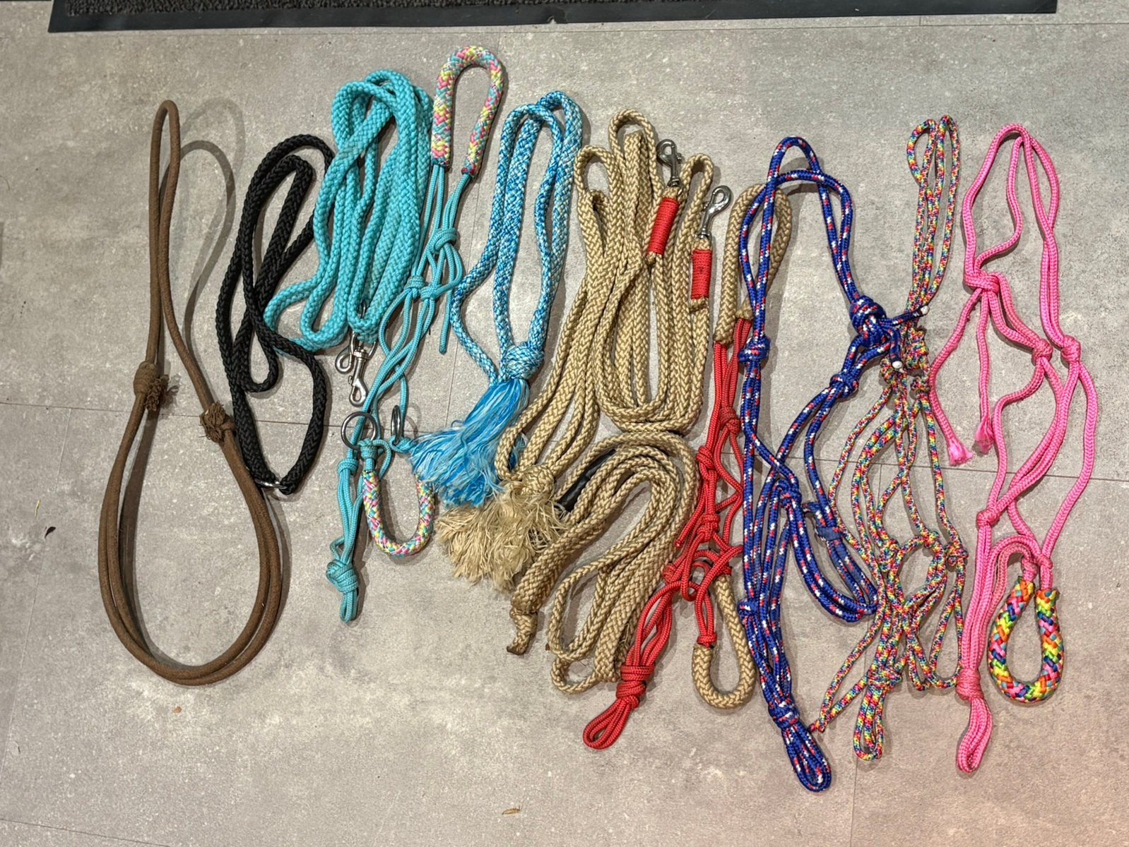 Kleurrijke touwhalsters, neckropes, teugels maat cob, Dieren en Toebehoren, Meerkleurig, Ophalen of Verzenden, Zo goed als nieuw