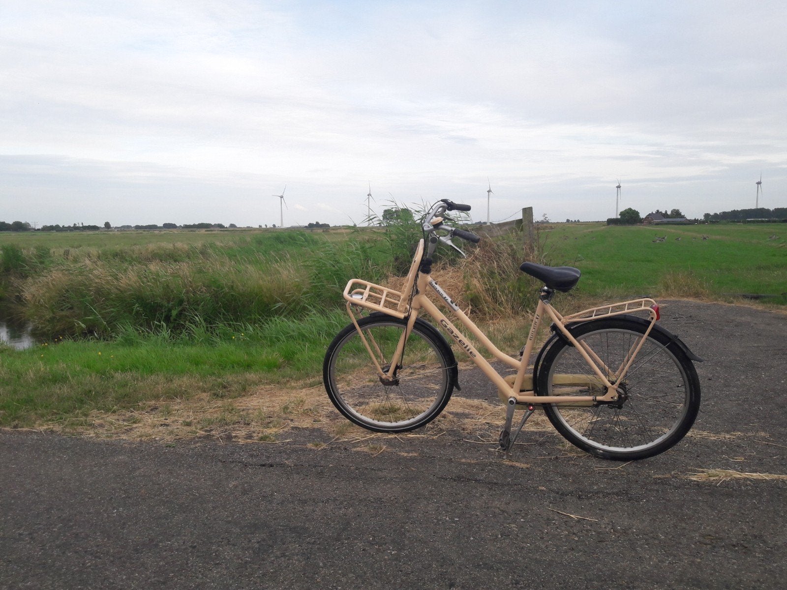 oer Degelijke  Gazelle Heavy Duty NL Transportfiets, Ophalen, Versnellingen, 56 cm of meer, Zo goed als nieuw